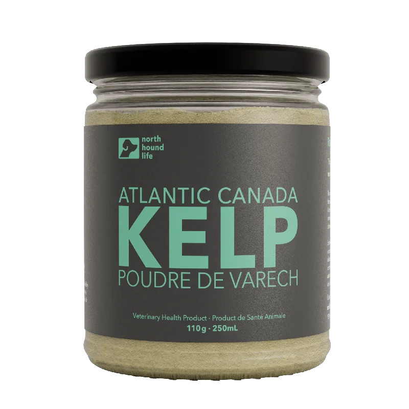 Atlantic Canada Kelp