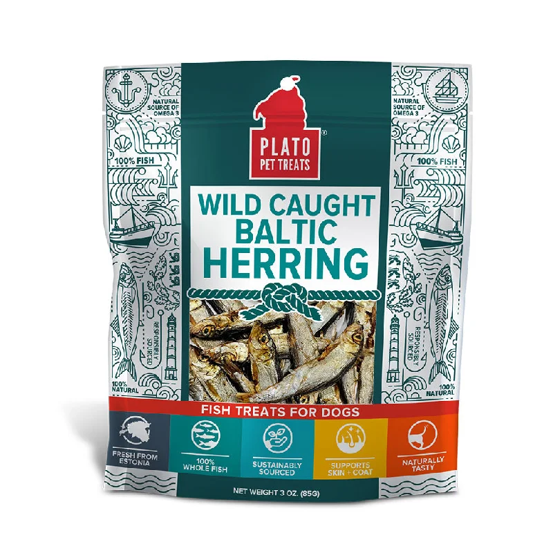 Baltic Herring