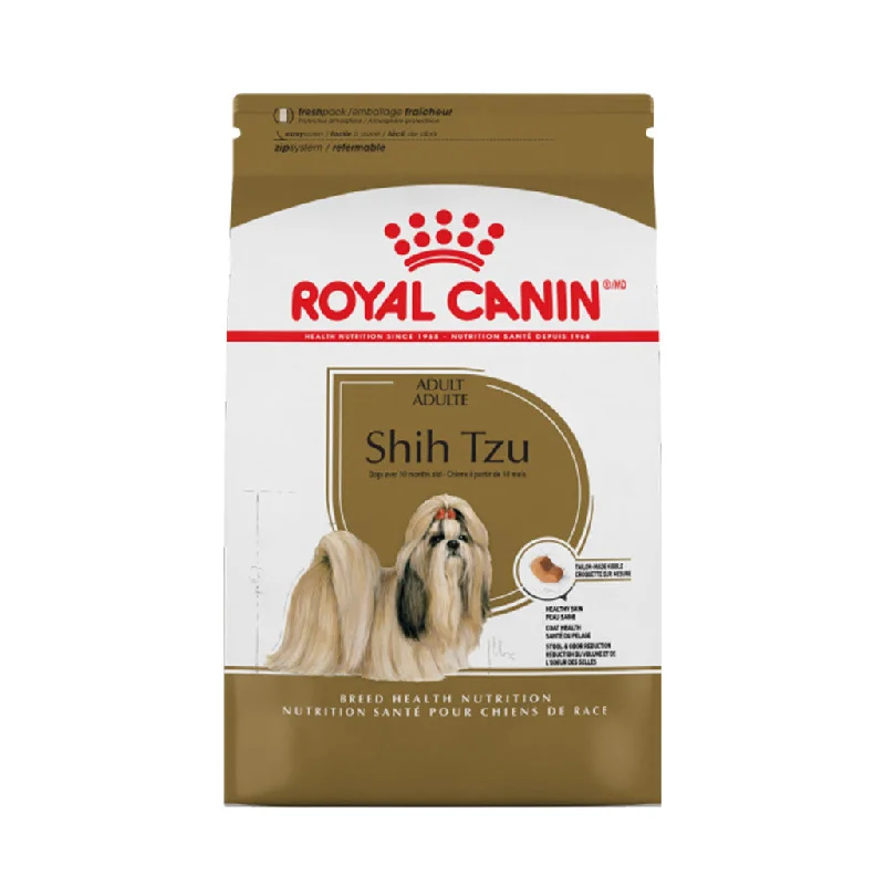 Shih Tzu Adult