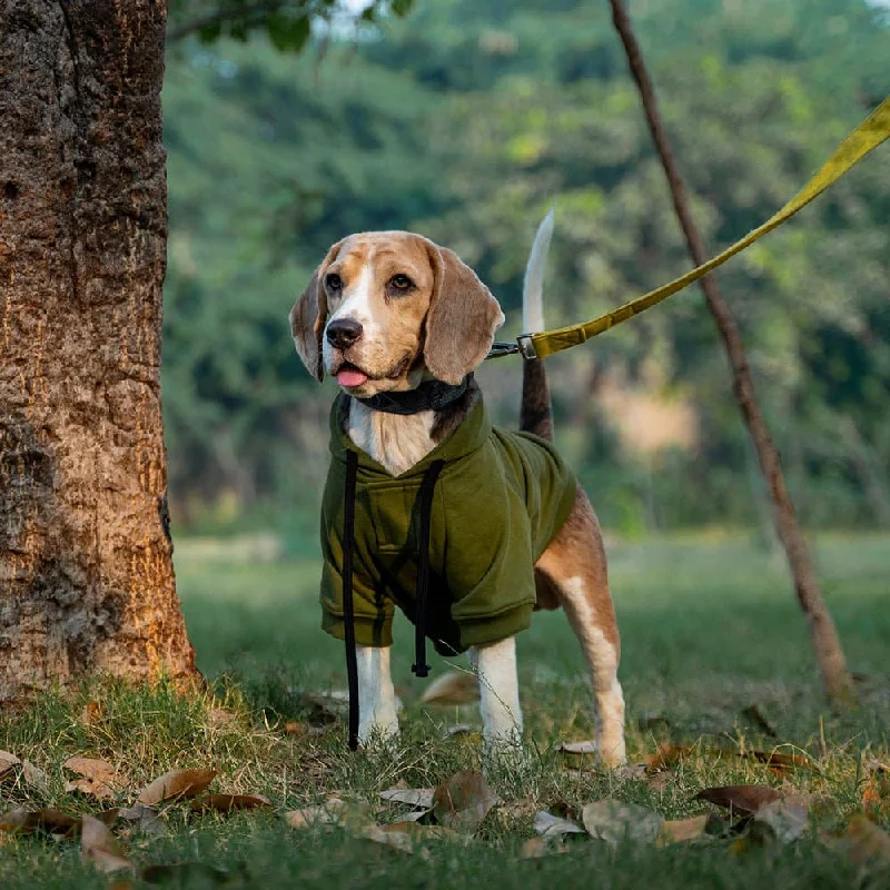 Dear Pet Sweatshirt for Dogs (Olive)