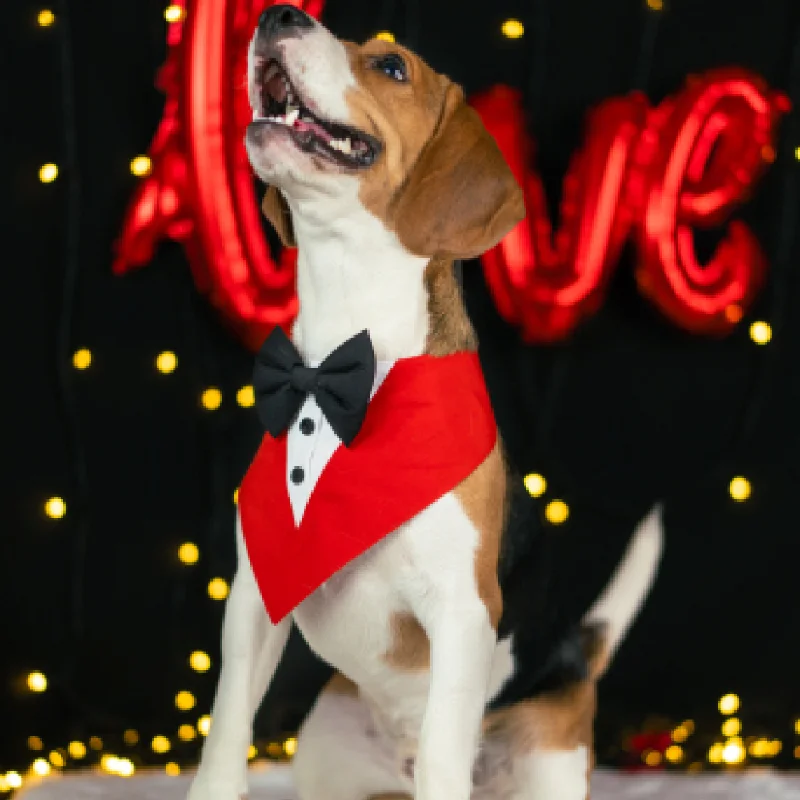 Dogobow Tuxedo Bandana for Dogs (Red) (Get a Bow Free)