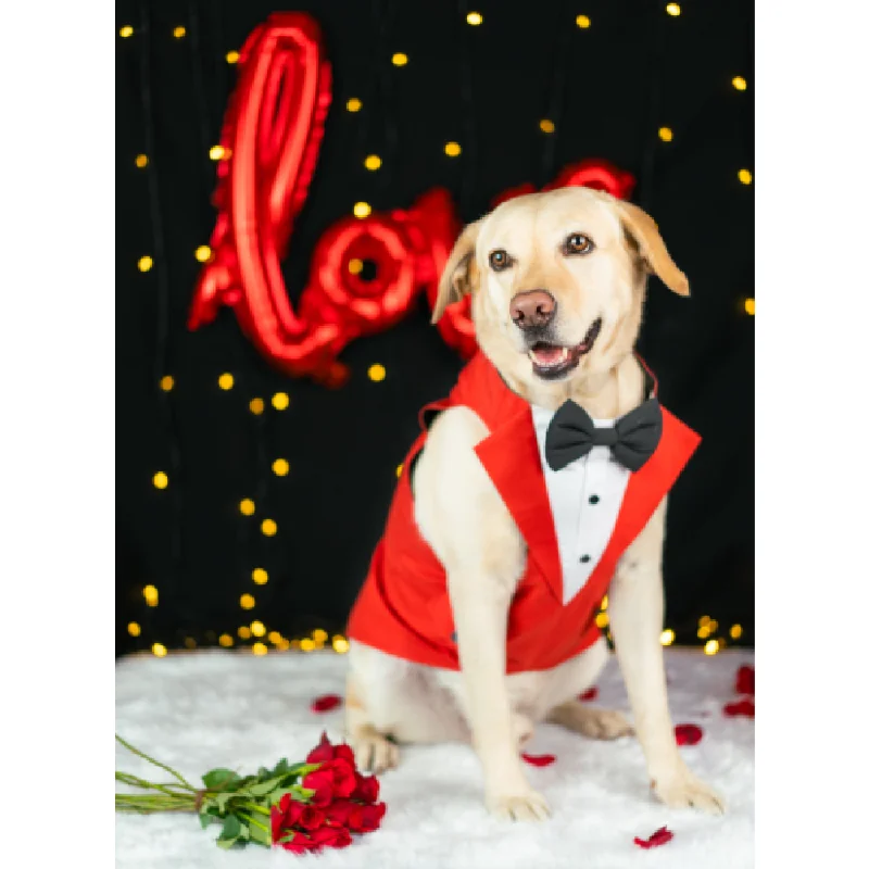 Dogobow Tuxedo for Dogs (Red) (Get a Bow Free)