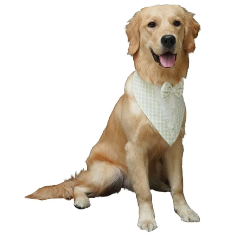 Floof & Co Cotton Tux Bandana for Dogs (Green)