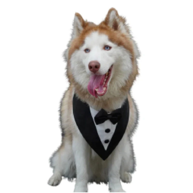 Floof & Co Tux Bandana for Dogs (White & Black)