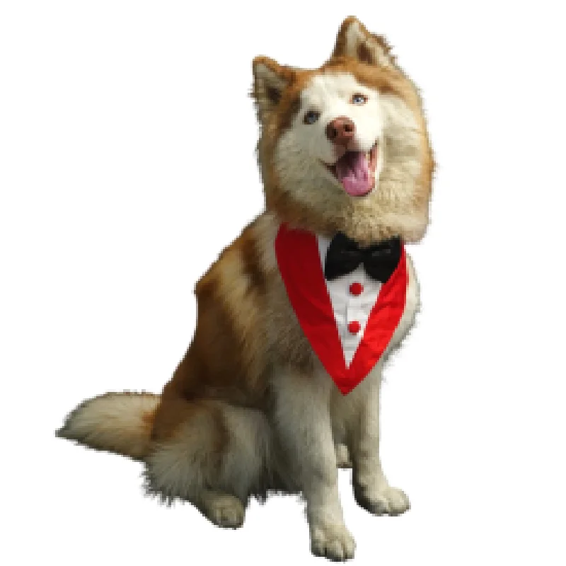 Floof & Co Tux Bandana Triangle for Dogs (Red)