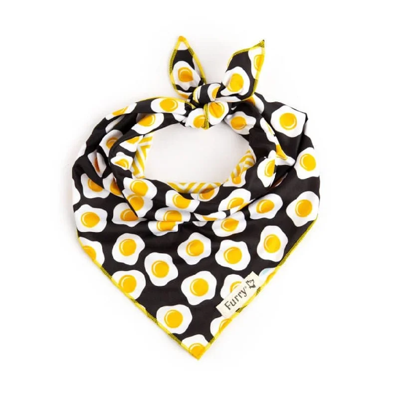 Furry & co Bandana For Dogs (Assorted) (L)