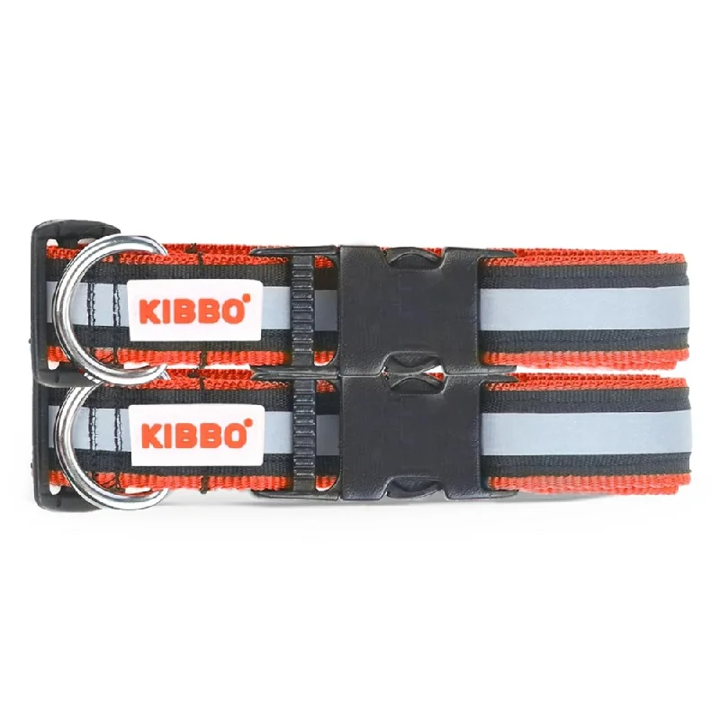 Kibbo Nylon Collar with Adjustable Buckle and D-Ring (Red/Pack of 2)