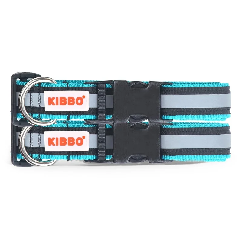 Kibbo Nylon Collar with Adjustable Buckle and D-Ring (Sea Green/Pack of 2)