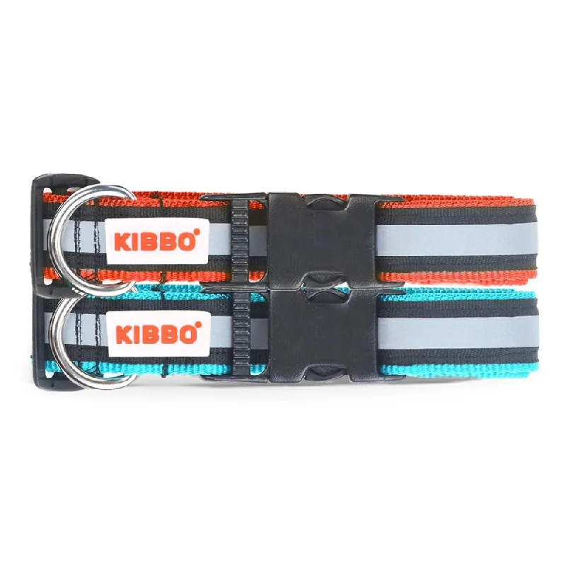 Kibbo Nylon Collar with Adjustable Buckle and D-Ring (Sea Green & Red/Pack of 2)