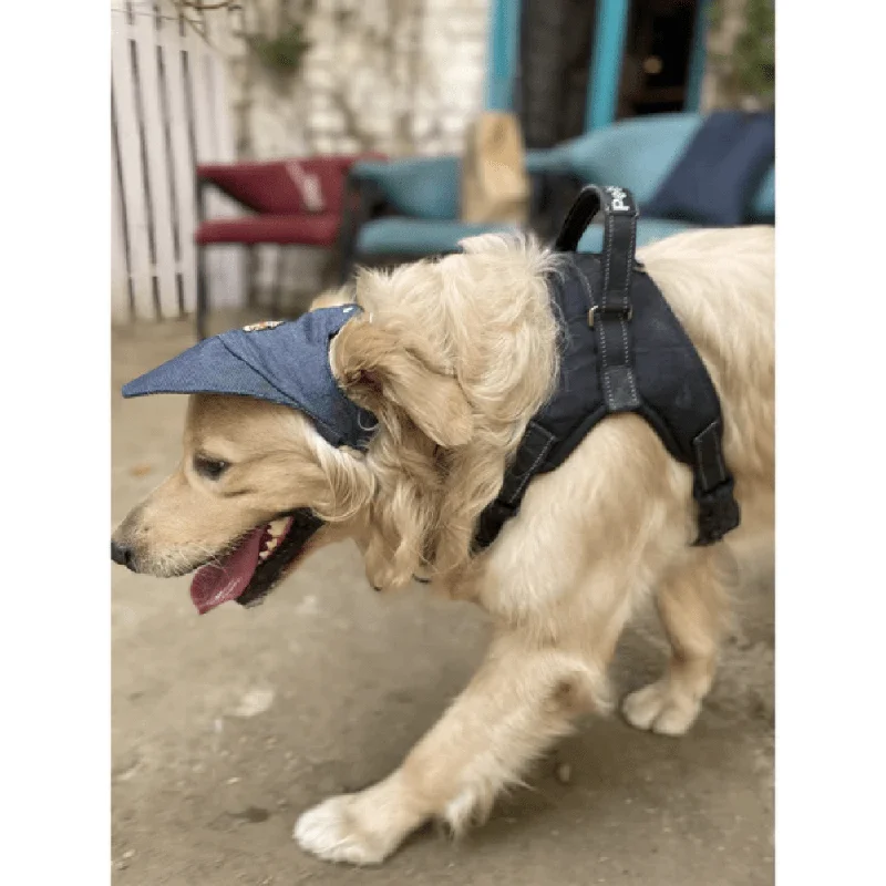 Pawgypets Cap for Dogs and Cats (Denim)