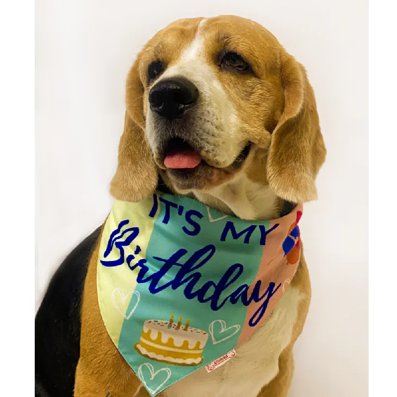 Pawgypets It’s My Birthday Bandana for Dogs and Cats