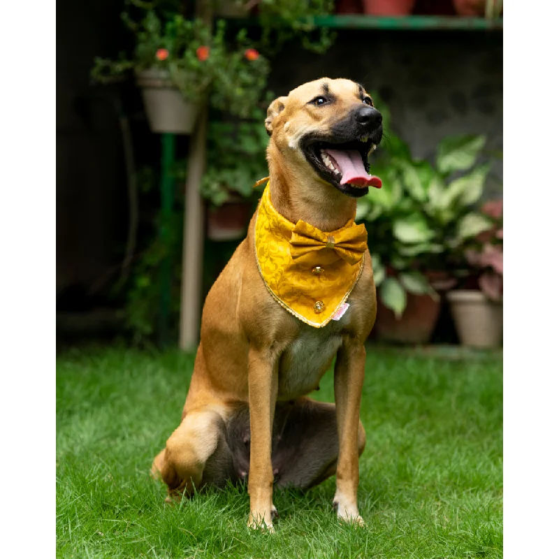 Pawgypets Occasion Wear Bow Bandana for Dogs and Cats (Yellow)