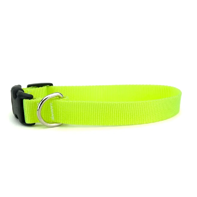 Skatrs Collar with Bell for Cats & Puppies (Lime Green)