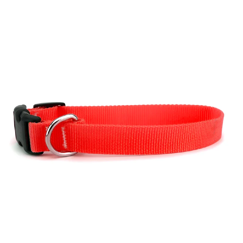 Skatrs Collar with Bell for Cats & Puppies (Red)