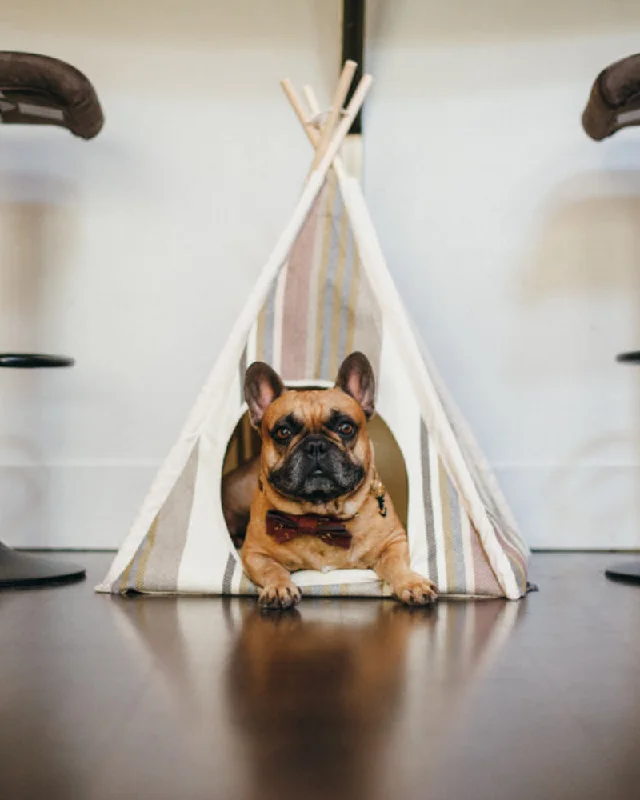 Striped Pet Teepee in Seacoast (Drop-Ship)