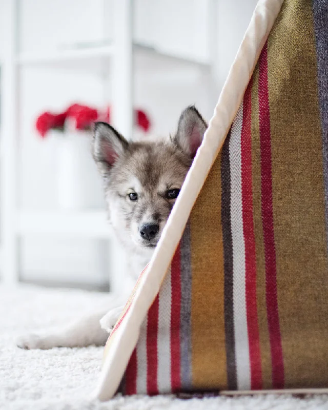 Horizon Pet Tent in Woodland (Direct-Ship)