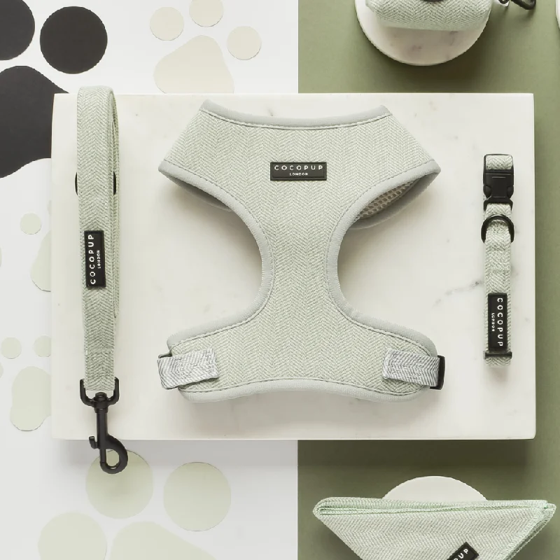 Sage Tweed Adjustable Neck Harness, Lead & Collar Bundle